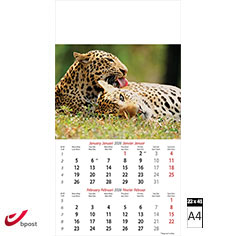 Muurkalender 2026 Wildlife 6 bladen