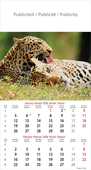 Muurkalender 2026 Wildlife 6p 22x41