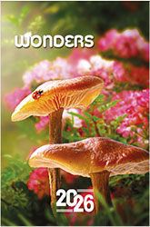 Muurkalender 2026 Wonders 13p 22x41cm Cover