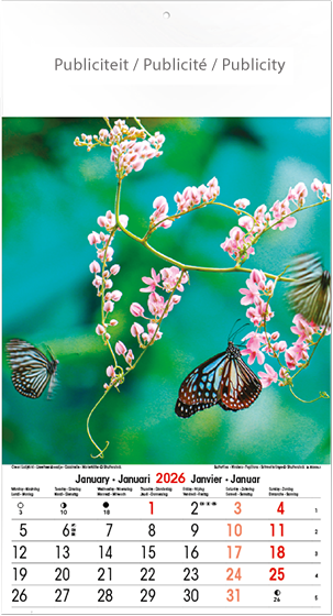 Muurkalender 2026 Wonders 13p 22x41cm